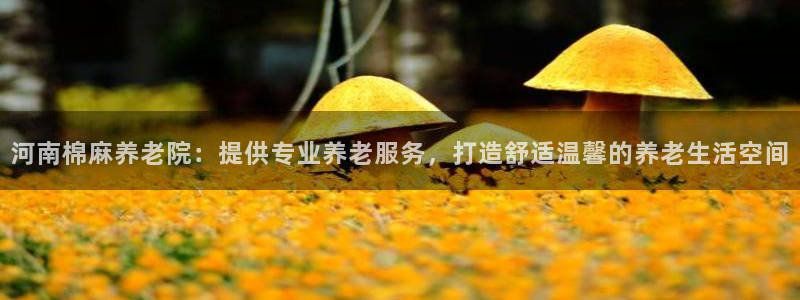 韦德1946始于英国