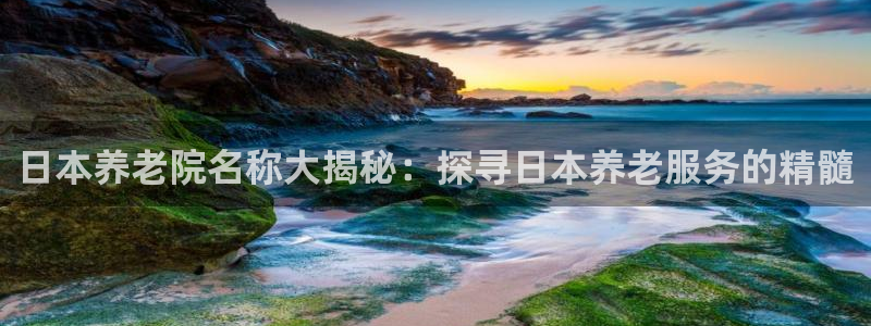 韦德观战总决赛G3