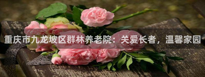 韦德1946手机网址