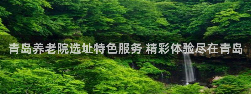 韦德1946下载