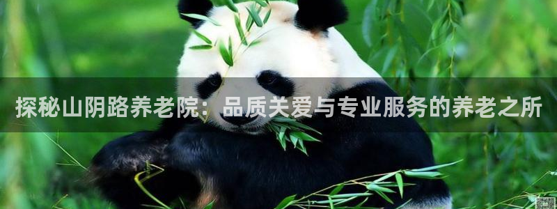韦德游戏是什么
