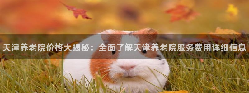 韦德事件