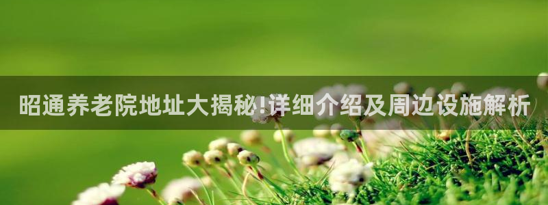 韦德新品