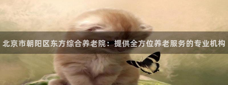 韦德1946中文官网