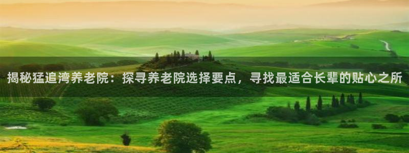 韦德1946备用网站