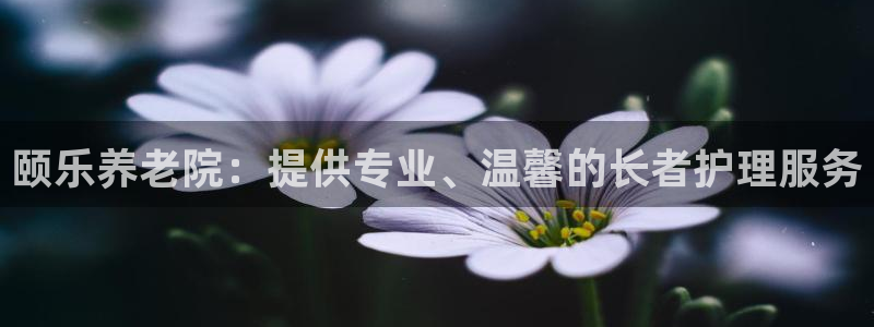 韦德合集