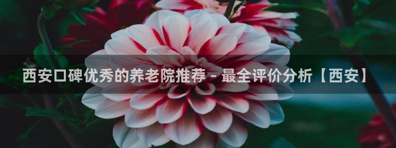 韦德1946手机网址