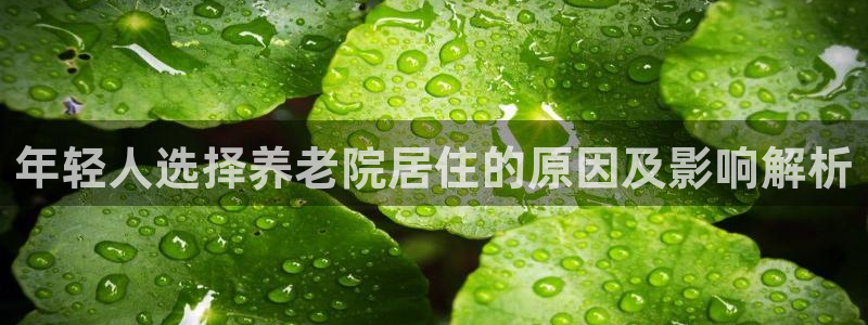 韦德是哪个