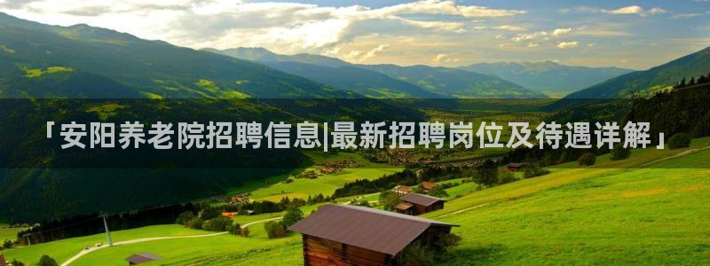 韦德网址
