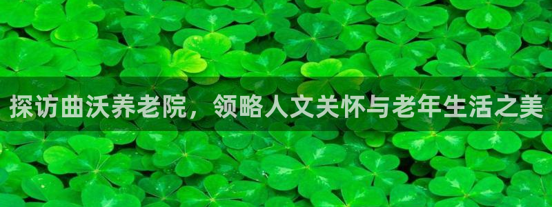 韦德 网站
