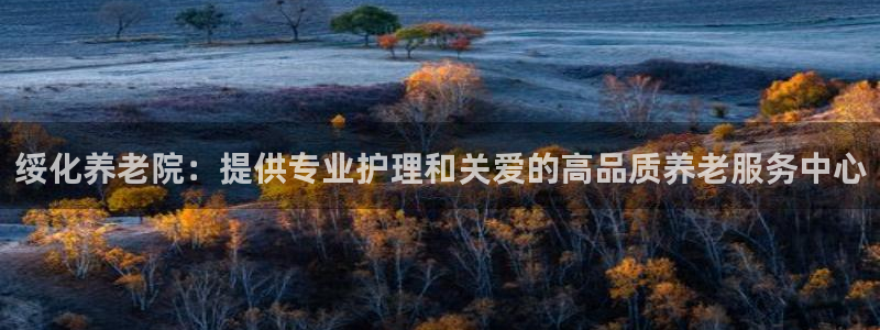 韦德网站是多少