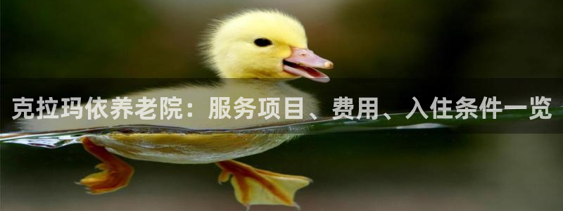 韦德 官网