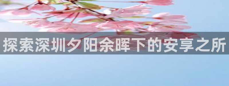 韦德国际体育