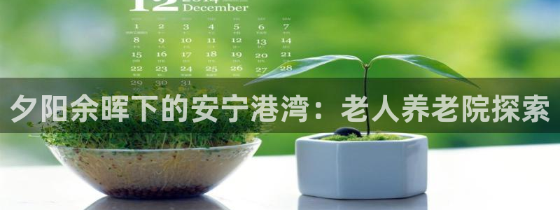 韦德1946中文官网