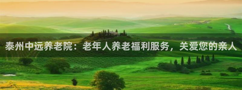 韦德 网址