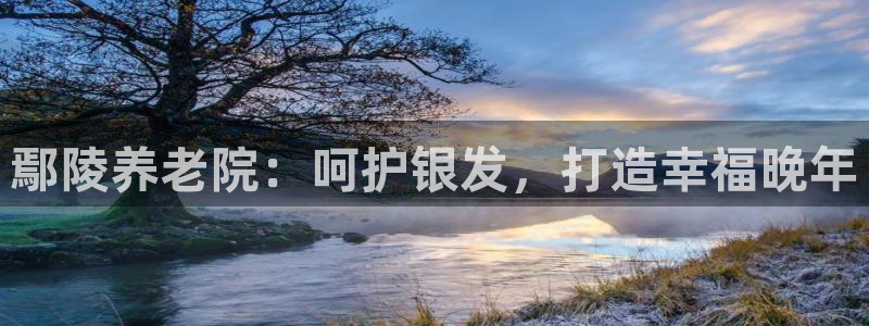 韦德的游戏