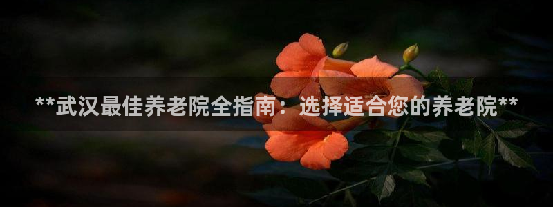 韦德网址是多少