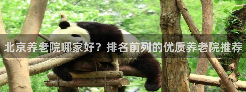 韦德国际体育