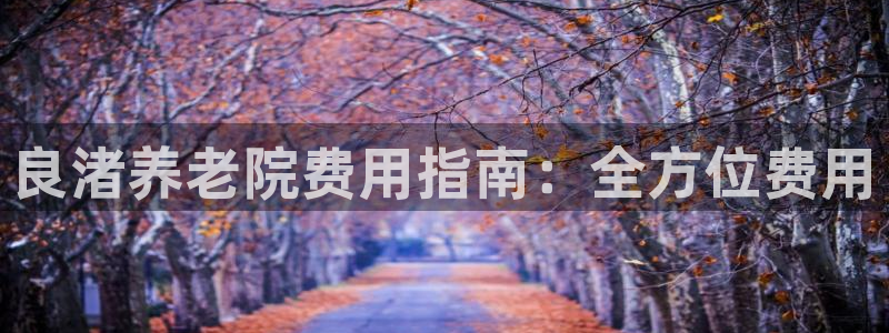 韦德的游戏