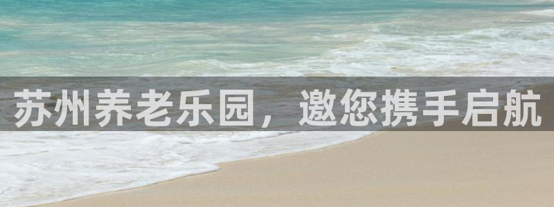 韦德网站是多少