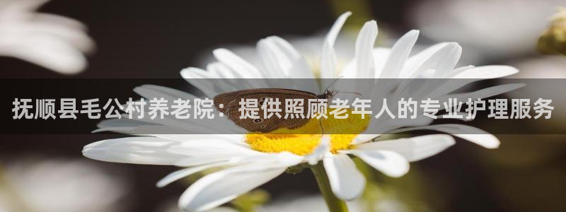 韦德 网站