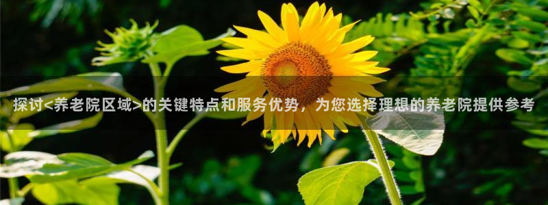 韦德1949