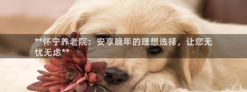 1946韦德游戏