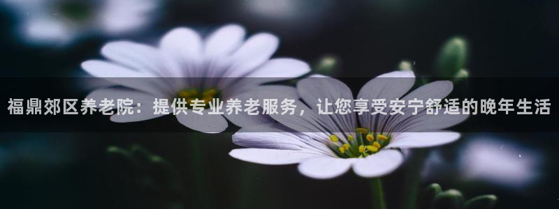 韦德官方网址