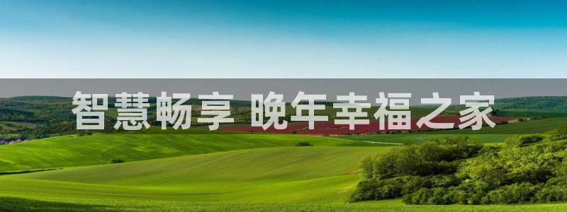 韦德1946官网最新版