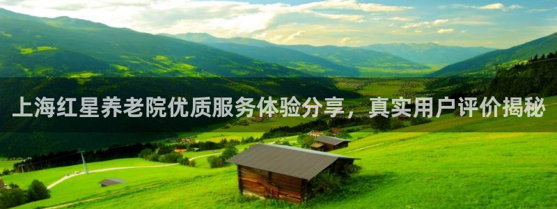 韦德是哪个