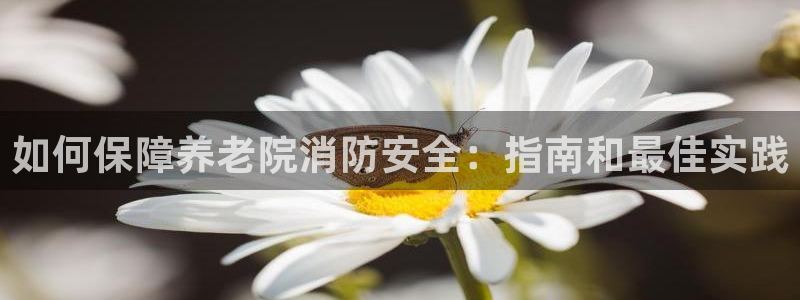 韦德官方网址