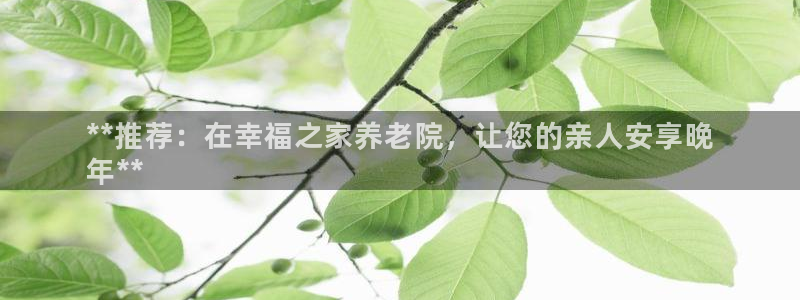韦德是哪一届