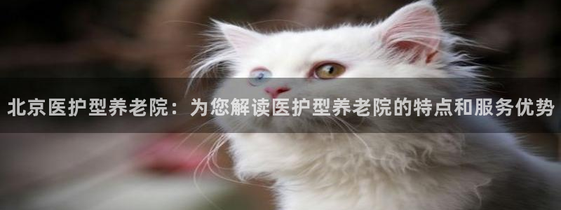 1946韦德游戏