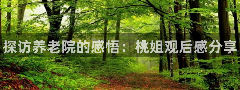 韦德 网址
