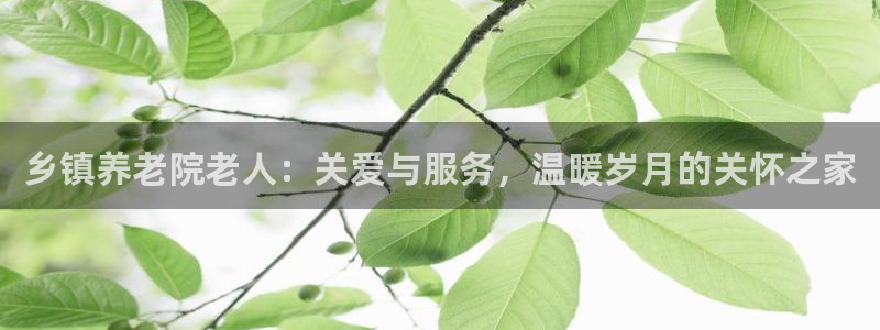 韦德1946bet