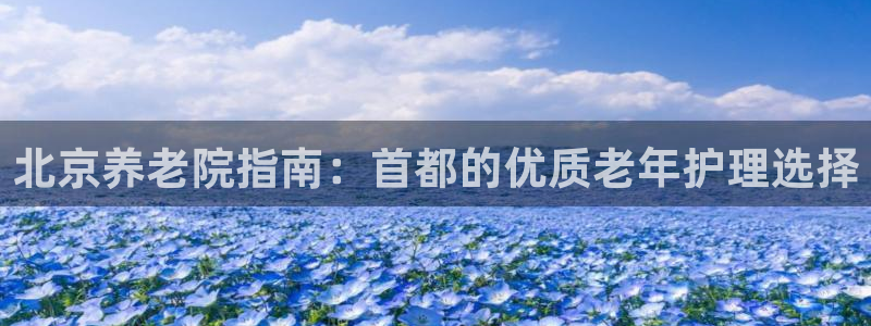 韦德1946国际