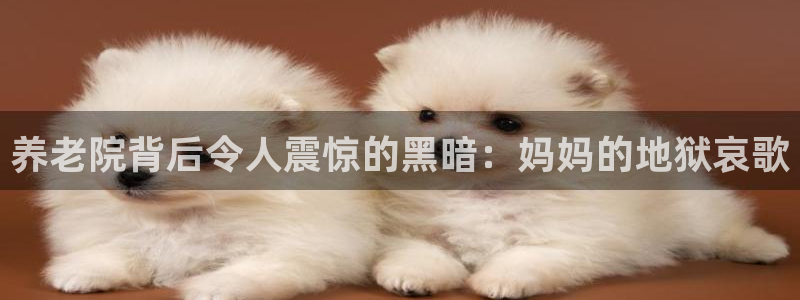 韦德观战总决赛G3
