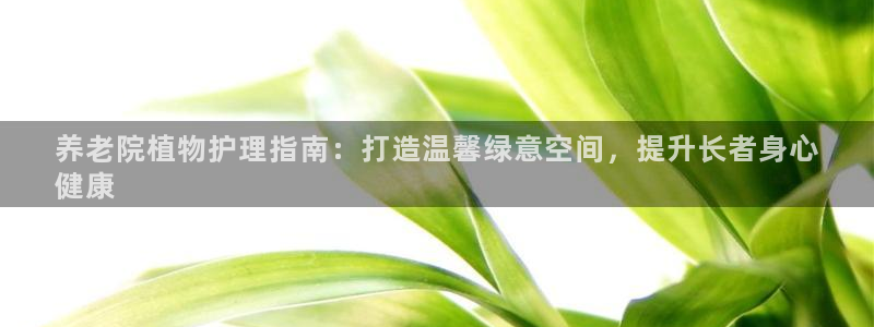 韦德1946官方网站
