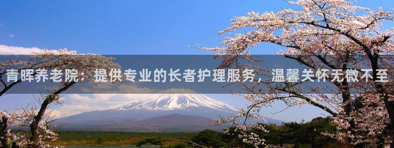 韦德是哪个