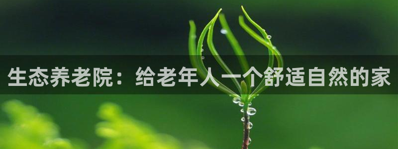 韦德观战总决赛G3