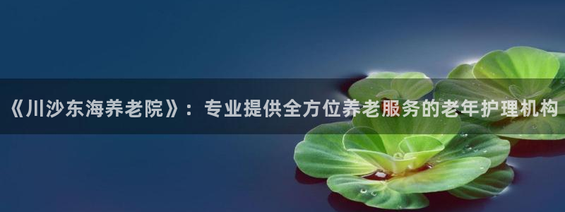 韦德观战总决赛G3