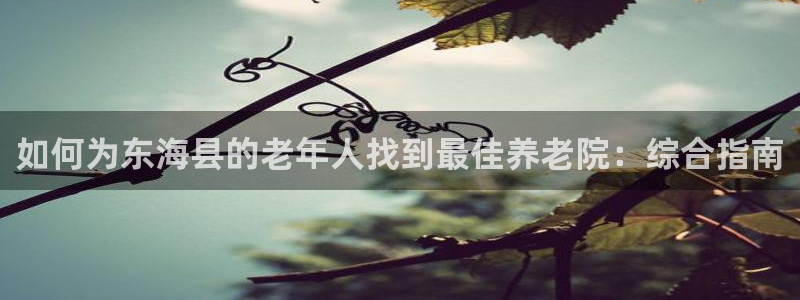韦德游戏是什么