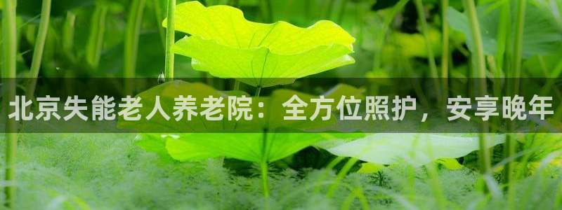 韦德1946官网