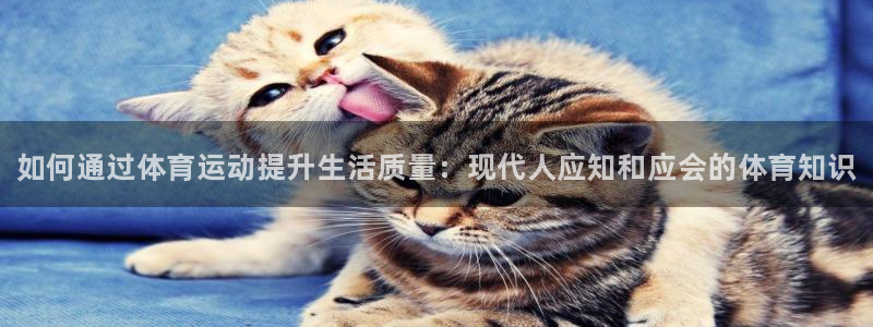 678体育：如何通过体育运动提升生活质量：现代人应知和应会的体育知识