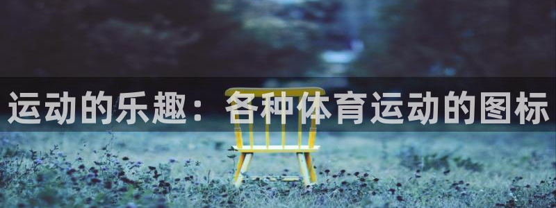 678体育官网：运动的乐趣：各种体育运动的图标