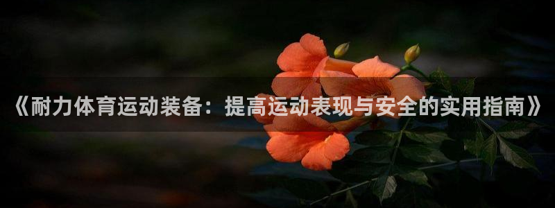 678体育：《耐力体育运动装备：提高运动表现与安全的实用指南》