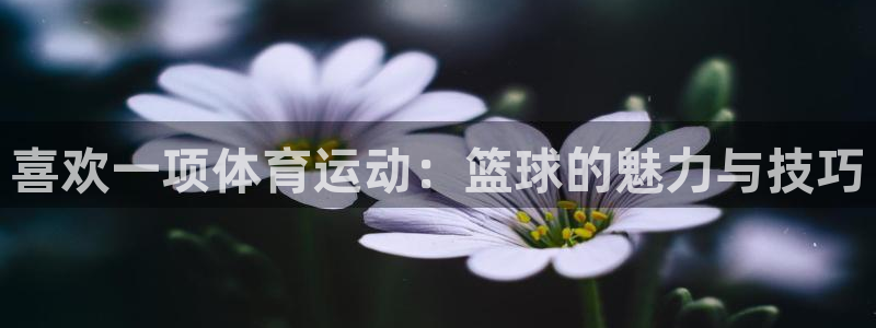 678体育官网：喜欢一项体育运动：篮球的魅力与技巧