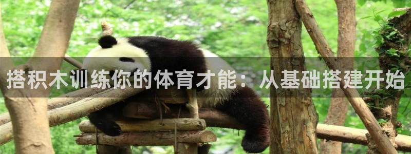 678体育知识：搭积木训练你的体育才能：从基础搭建开始