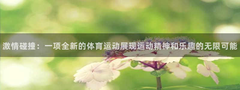 皇冠678体育：激情碰撞：一项全新的体育运动展现运动精神和乐趣的无限可能