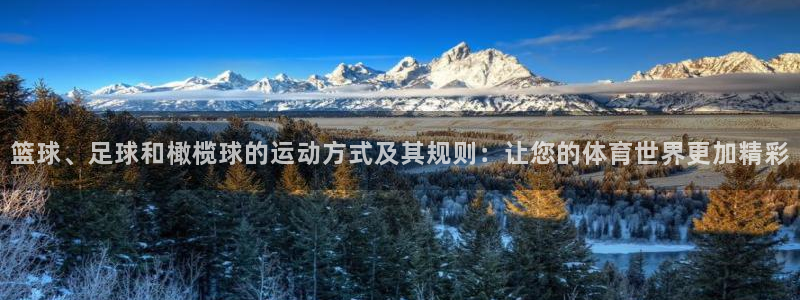 678体育知识：篮球、足球和橄榄球的运动方式及其规则：让您的体育世界更加精彩